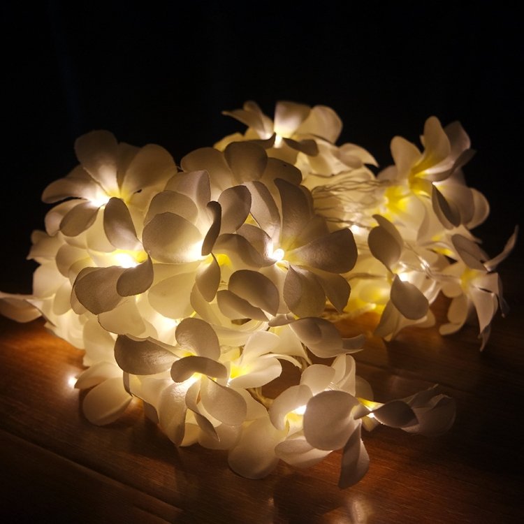 1.5m 10 LEDs Battery Powered Warm White Creative DIY Frangipani LED String Lights Floral Holiday Lighting Event Party Garland Bedroom Decoration - Image 3