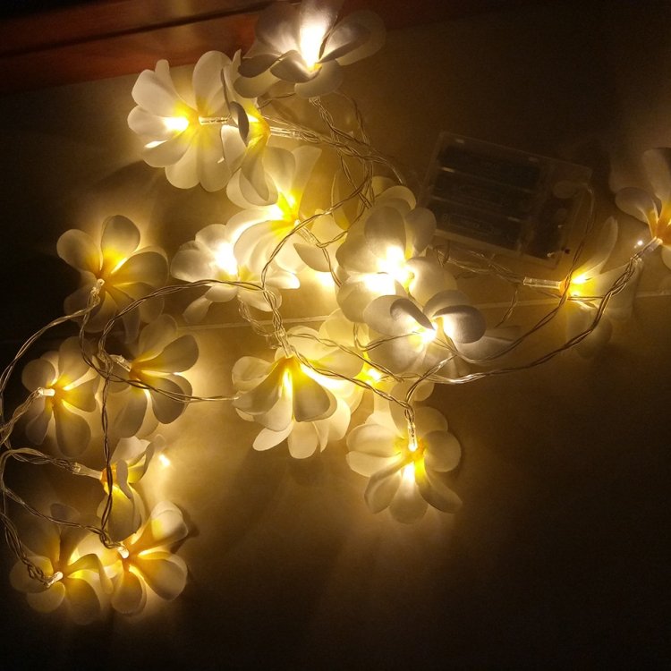 1.5m 10 LEDs Battery Powered Warm White Creative DIY Frangipani LED String Lights Floral Holiday Lighting Event Party Garland Bedroom Decoration - Image 4