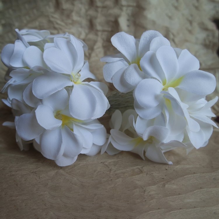 1.5m 10 LEDs Battery Powered Warm White Creative DIY Frangipani LED String Lights Floral Holiday Lighting Event Party Garland Bedroom Decoration - Image 5