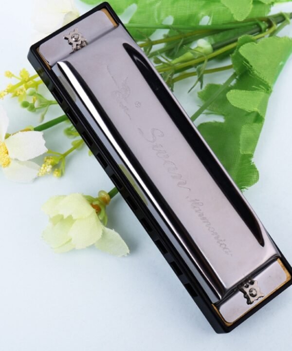 Swan 10 Holes Full-scale Bruce Harmonica Beginner Children Adult Students Playing Musical Instruments