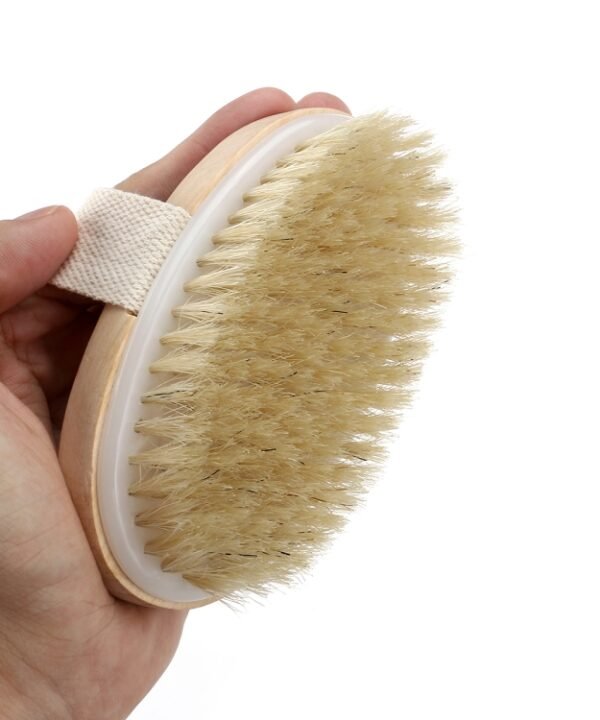 Soft Natural Bristle SPA Brush Without Handle