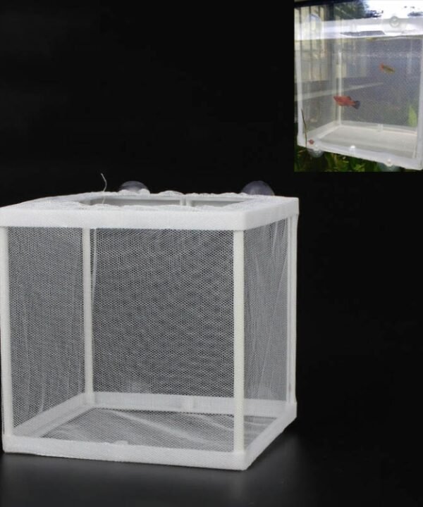 Small Aquarium Incubator Small Fish Isolation Box Net Tropical Fish Breeding Box
