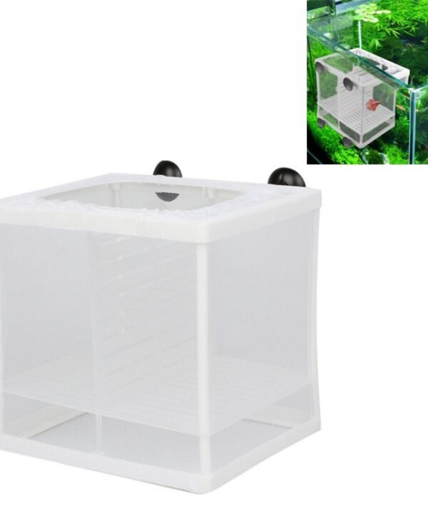 Small Size With Clapboard Incubator Small Fish Isolation Box Net Tropical Fish Breeding Box