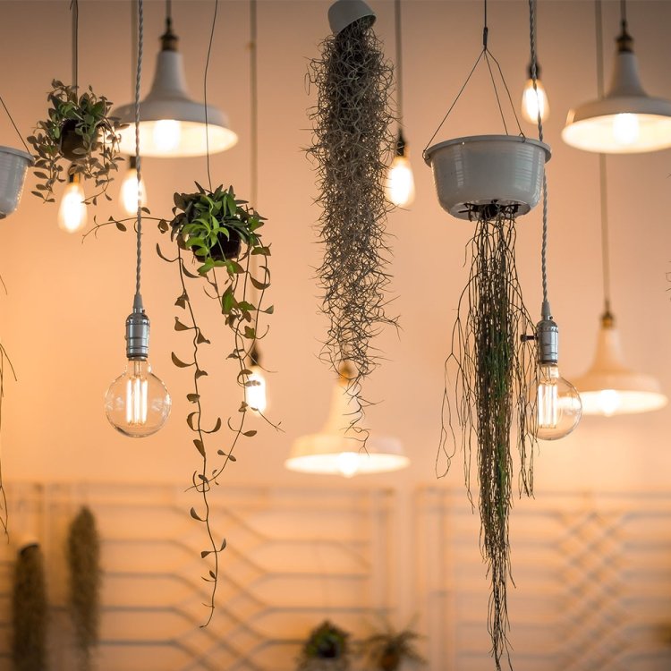 E27 40W Retro Edison Light Bulb Filament Vintage Ampoule Incandescent Bulb, AC 220V, A19 Spirai, G80 Spirai, G80 Filament, G95 Spirai, G95 Filament, ST64 Spirai, ST64 Christmas tree, ST64 Filament, T10 Filament, T185 Filament, T45 Spirai, T45 Filament - Image 5
