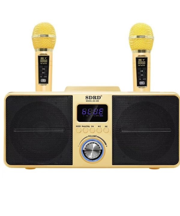 SDRD SD309 Wireless Microphone Bluetooth Audio All-In-One Machine