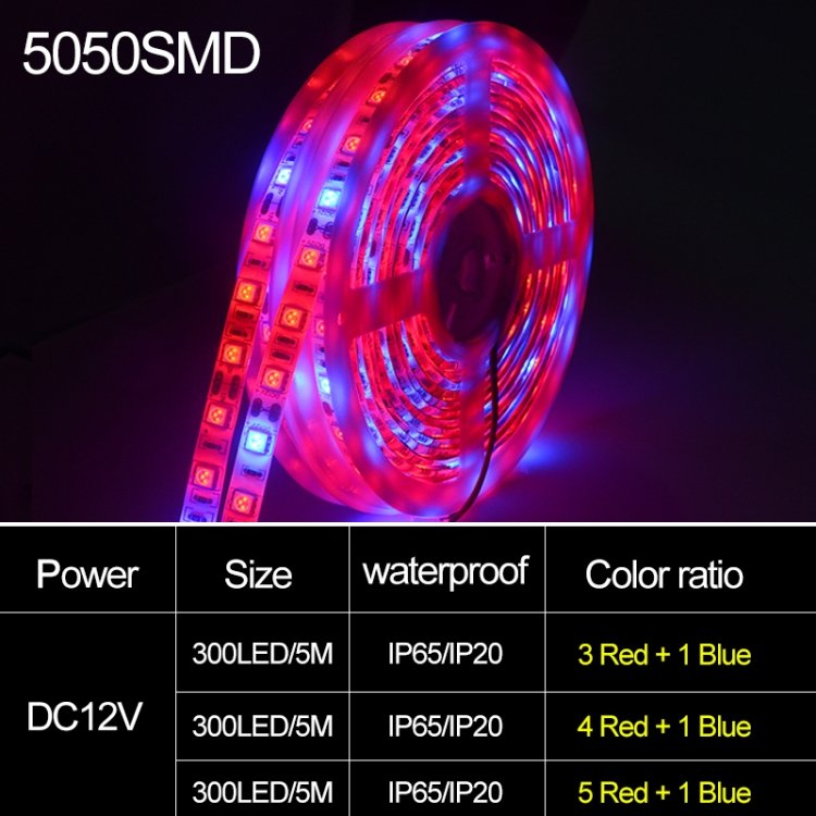 5m 300 LEDs SMD 5050 Full Spectrum LED Strip Light Fitolampy Grow Lights for Greenhouse Hydroponic Plant, Non Waterproof, Waterproof - Image 8