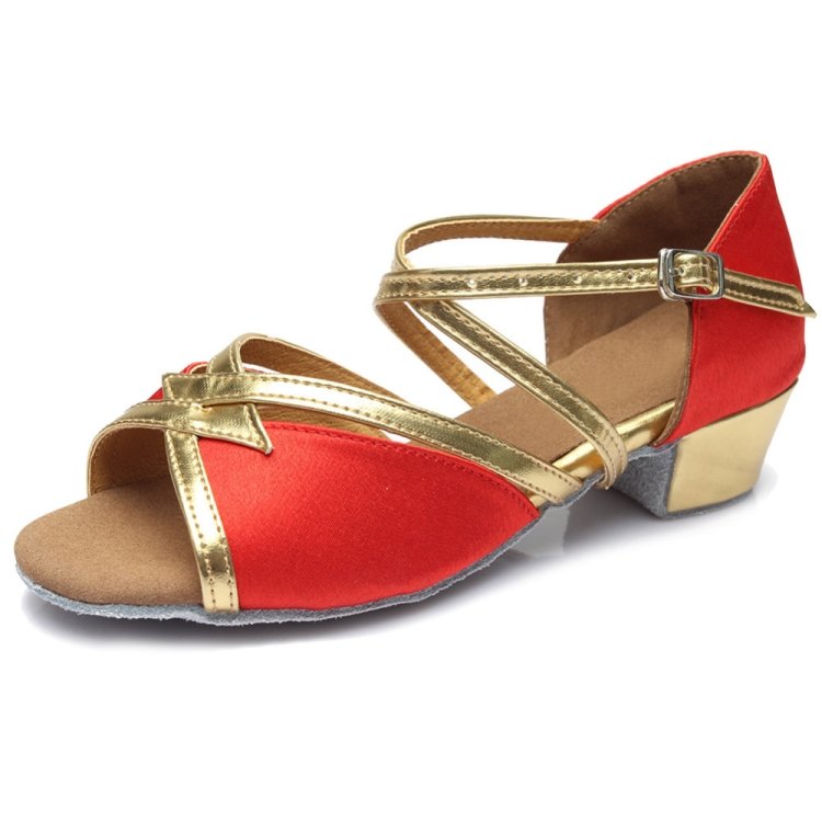 Tango Salsa Latin Low Heel Soft Bottom Dance Shoes for Girls & Women, 24, 25, 26, 27, 28, 29, 30, 31 - Image 3