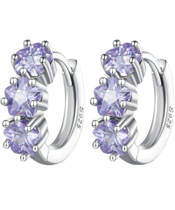 SCE1533 Purple Flower Vermiculite Ear Buckle 925 Silver Earrings