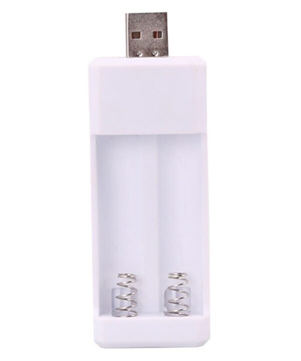 Directly Inserted 2 Slots USB AA / AAA Rechargeable Battery Charger
