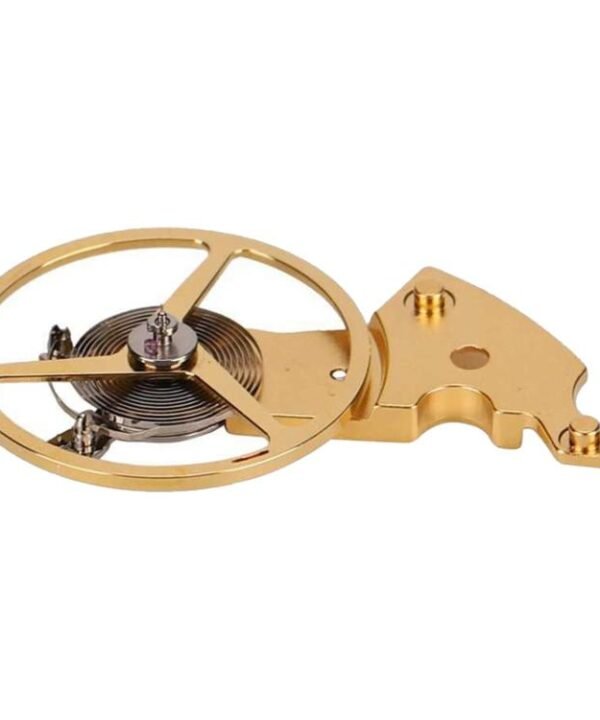 For ETA 2824 2834 2836 Movements Watch Full Balance with Pendulum Cockpit Repair Tool