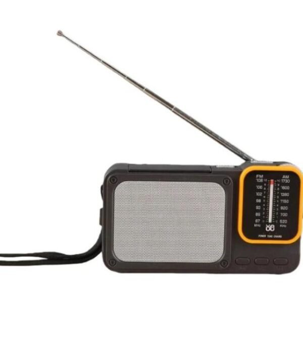 W-916 Portable Pointer Radio With Reading Light FM/AM Dual-Band Radio