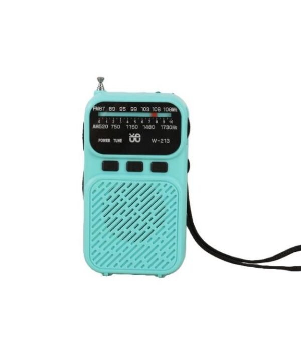 W-213 FM/AM Pointer Dual-Power Radio Portable Clip-On Radio With Flashlight