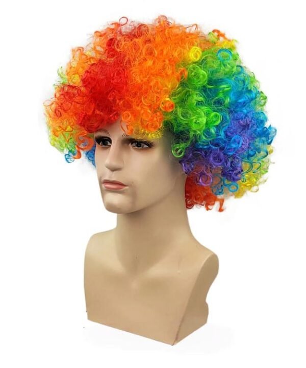 Colorful Afro Wig for Adults & Kids Rainbow Clown Wig for Cosplay Party Funny Curly Disco Wig Costume Accessories