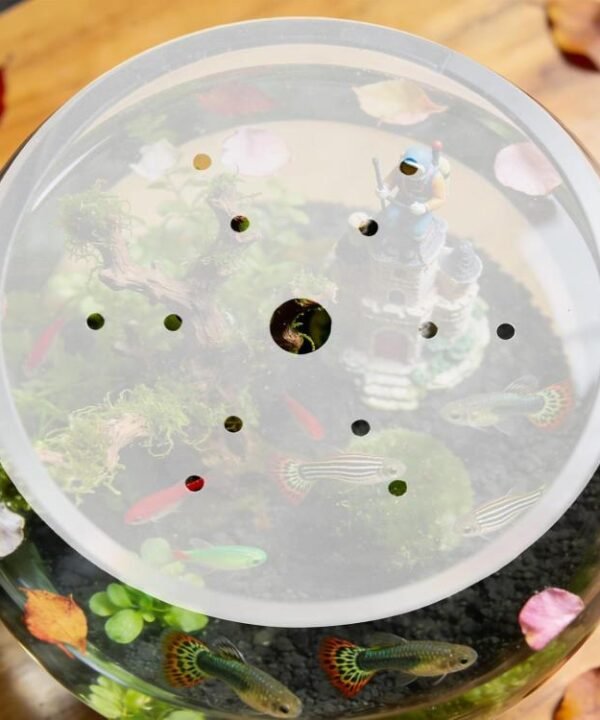 7.47-inch Clear Acrylic Round Fish Tank Lid Circular Aquarium Anti-Jumping Cover with Center Feeding Hole & Ventilation Pores, YX258
