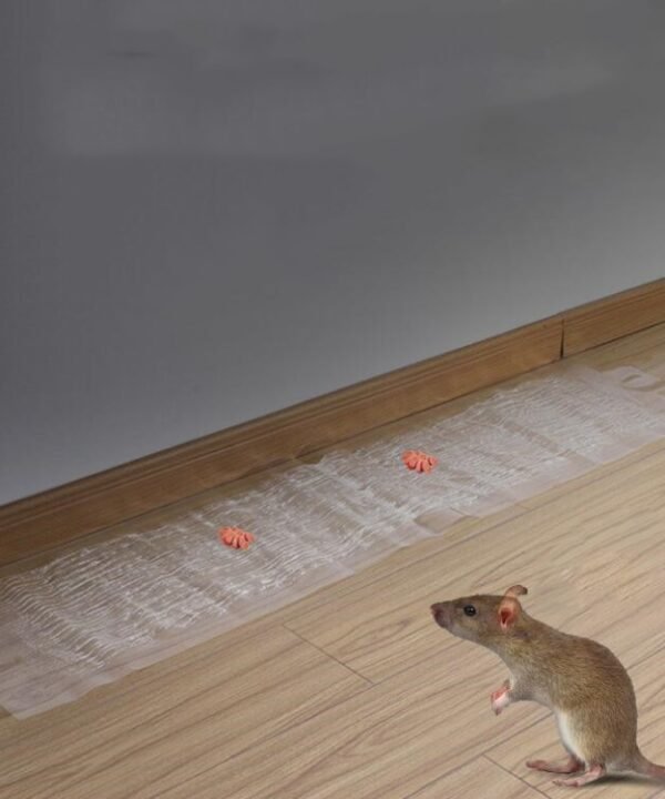 Anti-rodent Strong Sticky Board Transparent Sticky Mouse with Mousetrap Glue