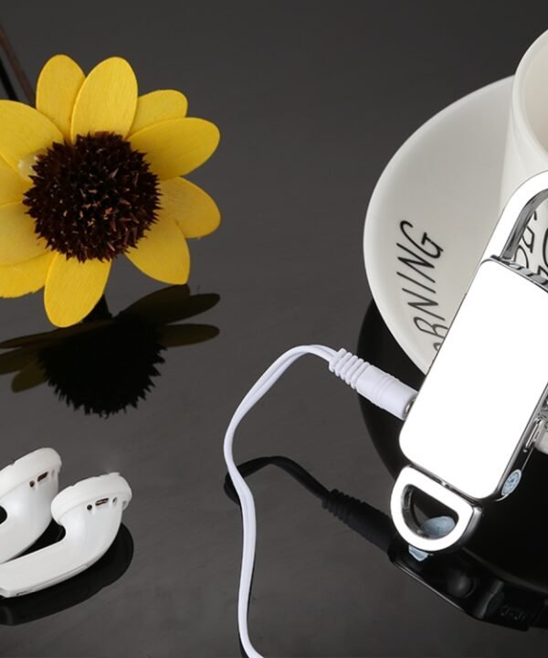 VM800 Portable Audio Voice Recorder Keychain, 8GB, Support Music Playback