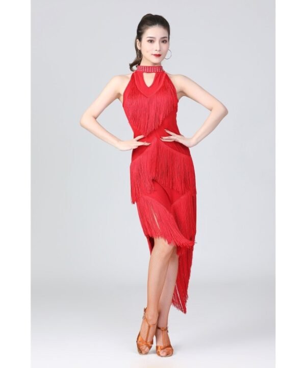 Halter Neck Irregular Tassel Latin Dance Dress Competition Performance Suit With Separate Bottoms, M, L, XL